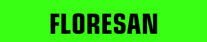 Floresan Renk Sprey Boya
