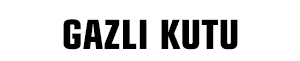 Gazlı Kutu Sprey Boya